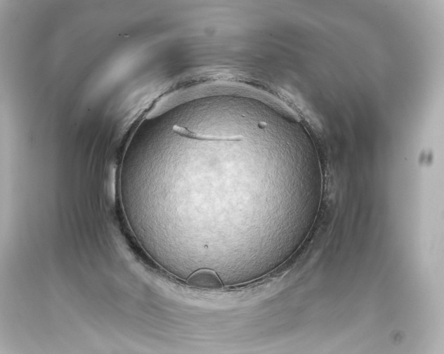 X0000093590014200710291132