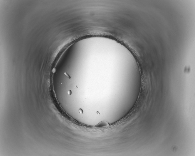 X0000093590015200710291132