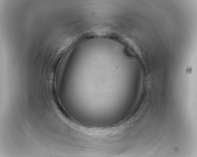 X0000093590018200710291132