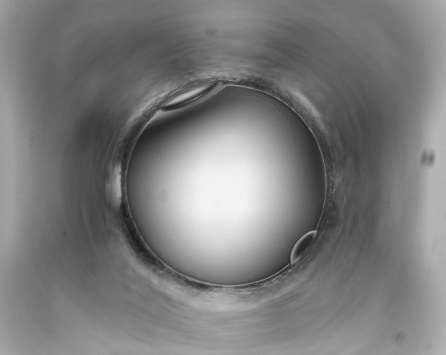 X0000093590020200710291132