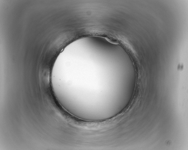 X0000093590021200710291132