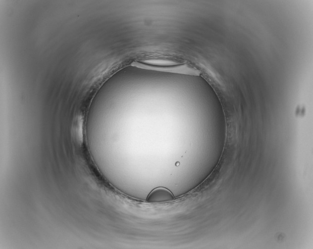 X0000093590022200710291132