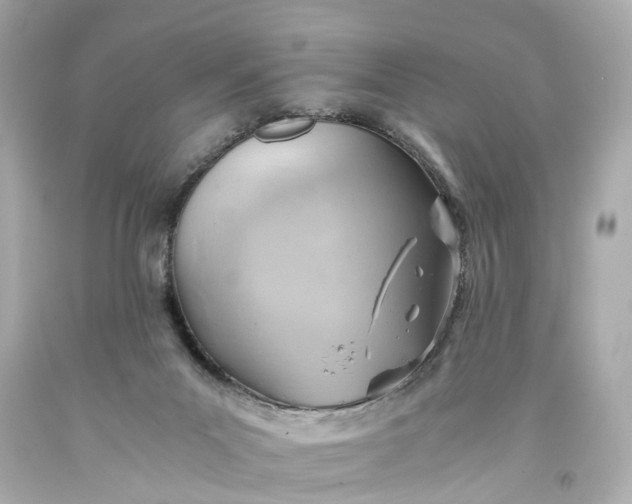 X0000093590023200710291132