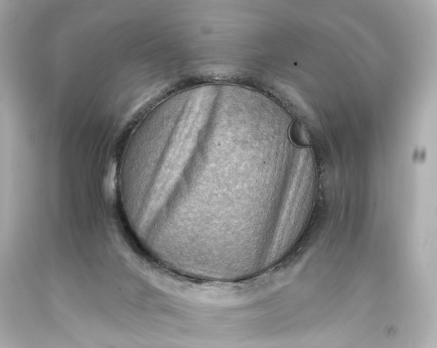 X0000093590024200710291132