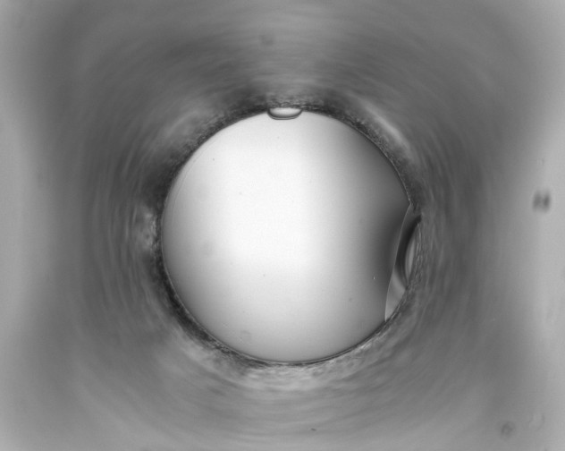 X0000093590025200710291132