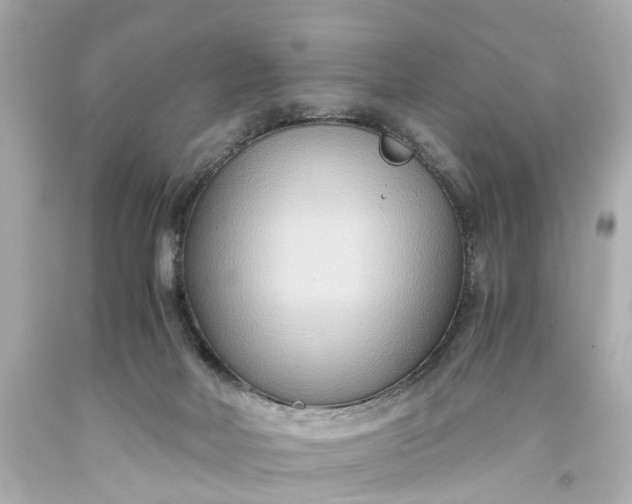 X0000093590026200710291132