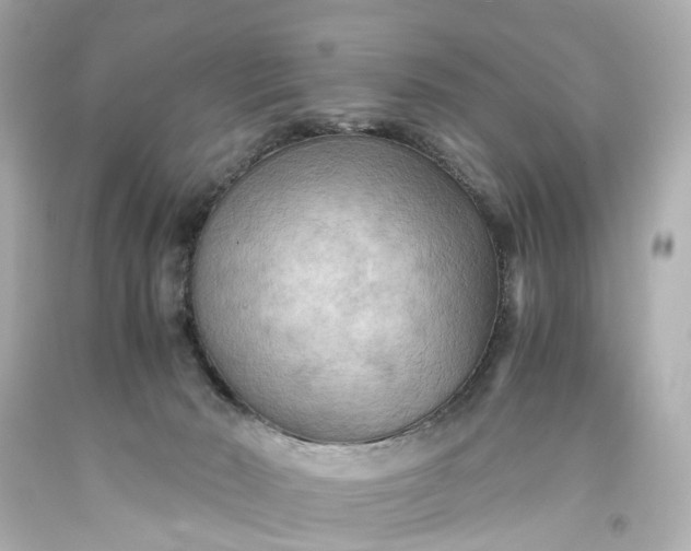 X0000093590030200710291132