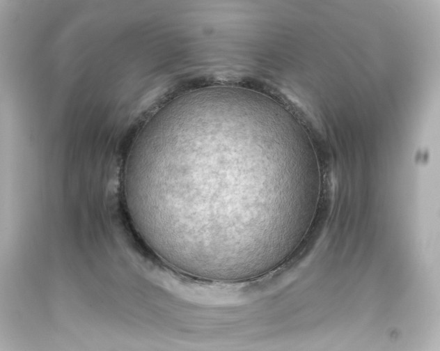 X0000093590032200710291132