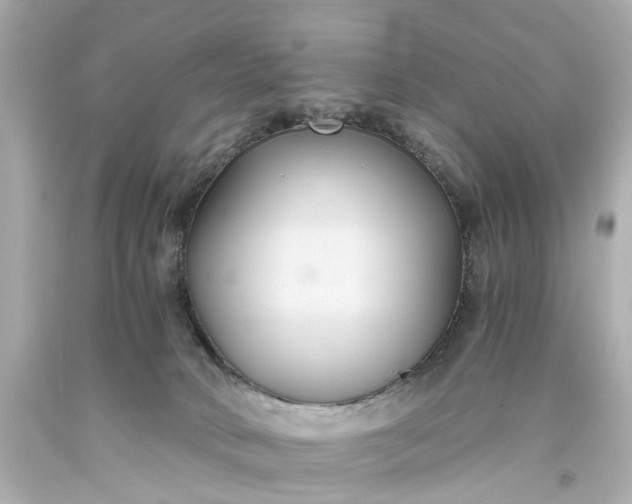 X0000093590034200710291132
