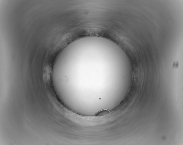 X0000093590038200710291131