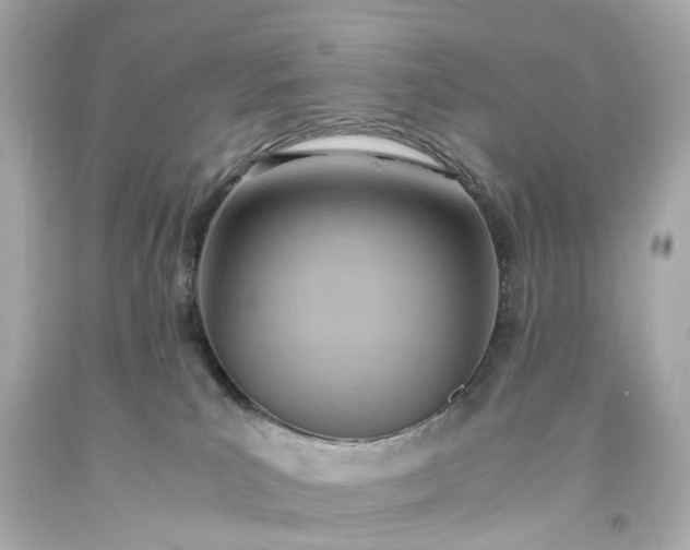 X0000093590039200710291131