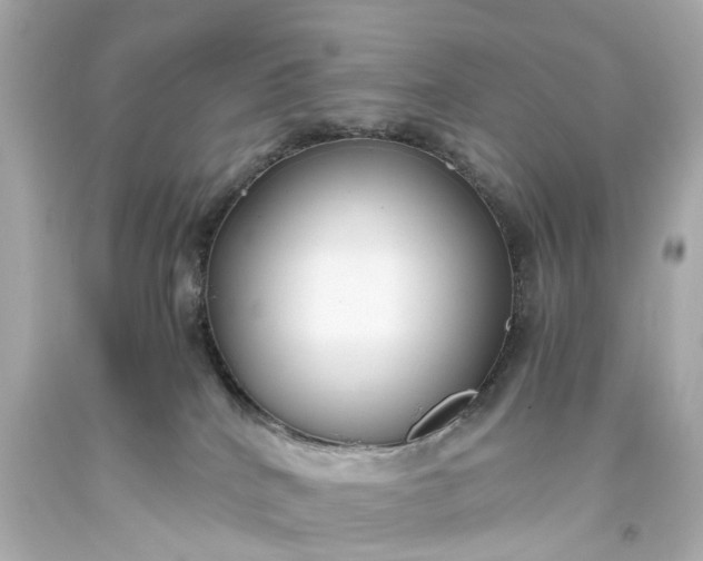 X0000093590040200710291131