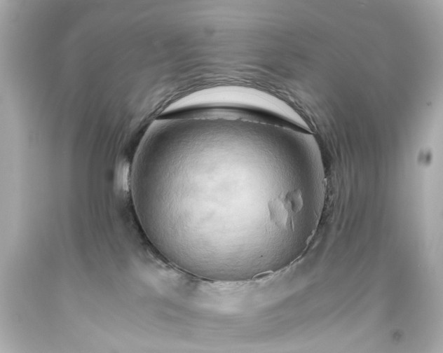 X0000093590041200710291131