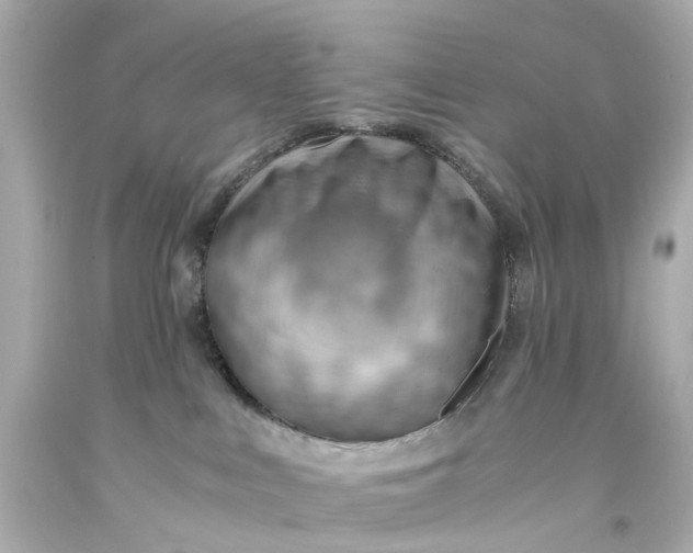 X0000093590043200710291131