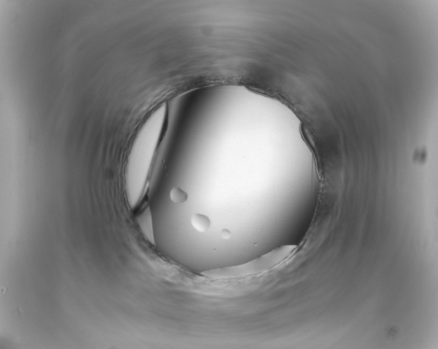 X0000093590045200710291131