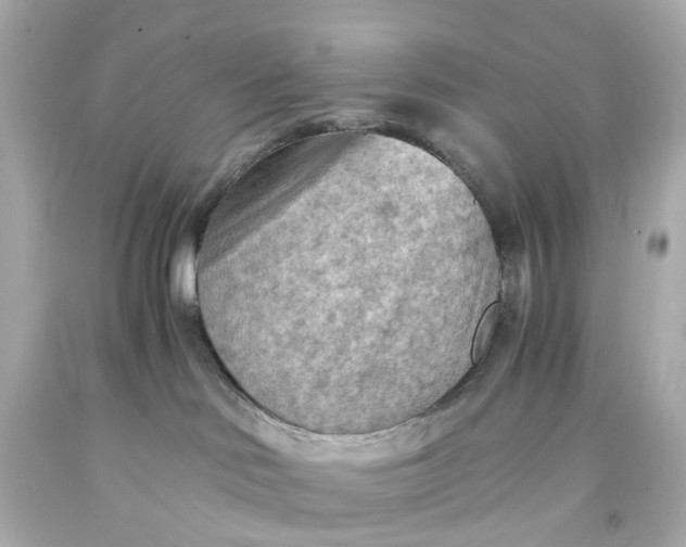 X0000093590046200710291131