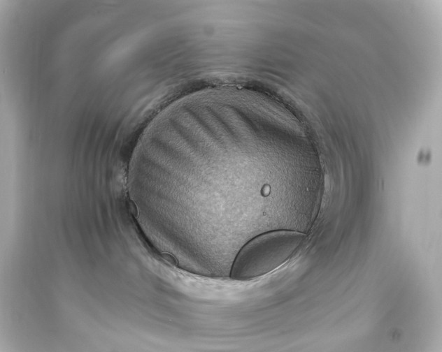 X0000093590048200710291131