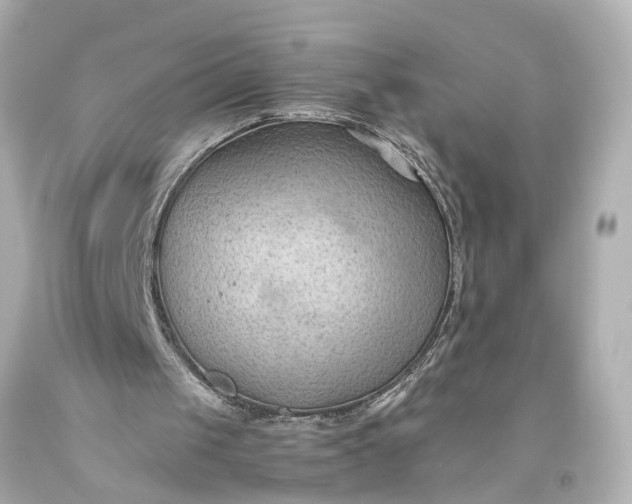 X0000093590049200710291130