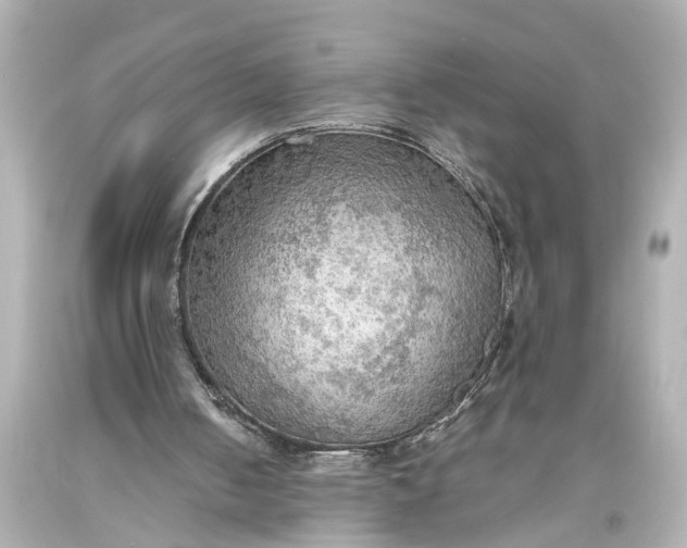 X0000093590050200710291130