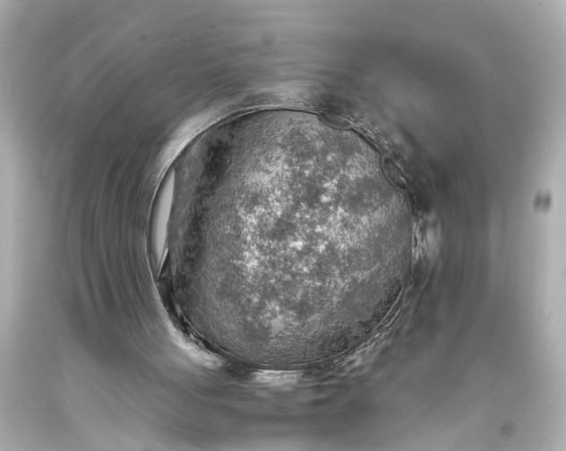 X0000093590051200710291131