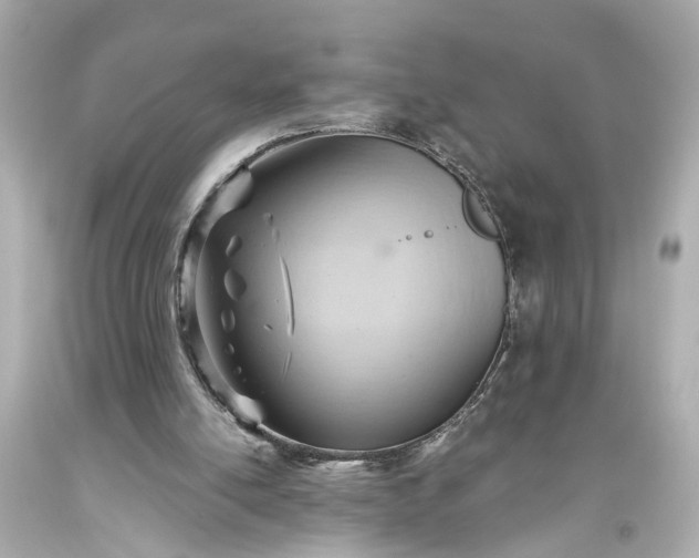 X0000093590054200710291131