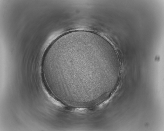 X0000093590055200710291131