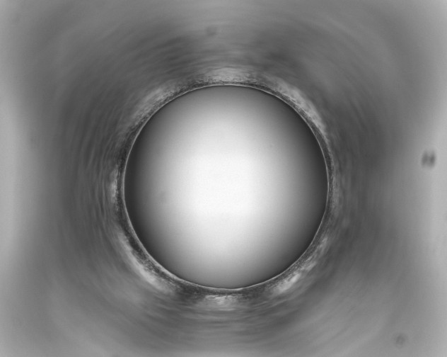 X0000093590057200710291131