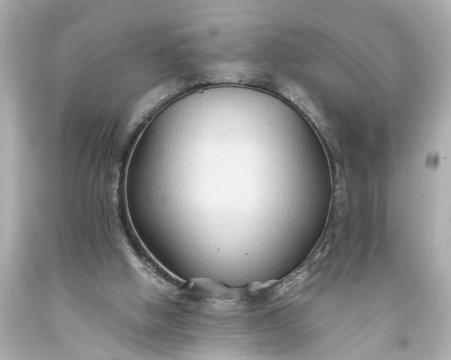 X0000093590058200710291131