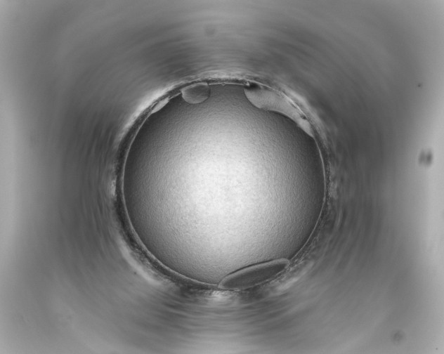 X0000093590060200710291131