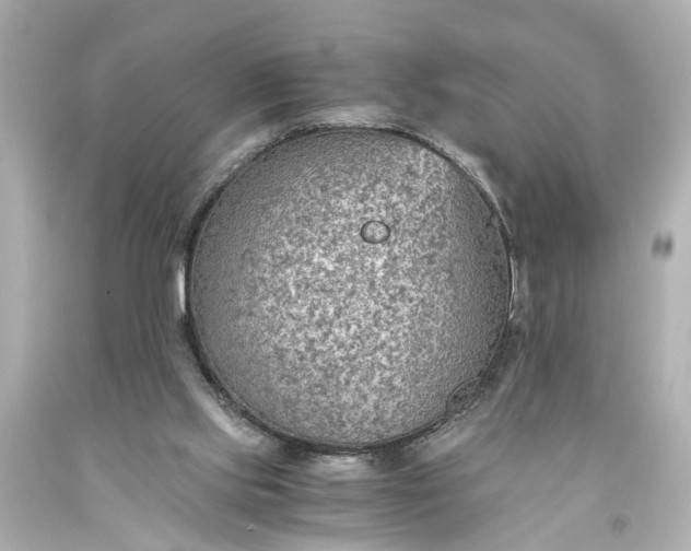 X0000093590061200710291131