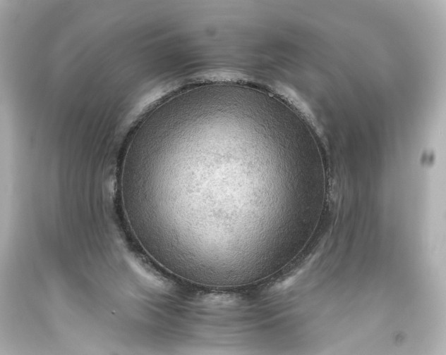 X0000093590063200710291131