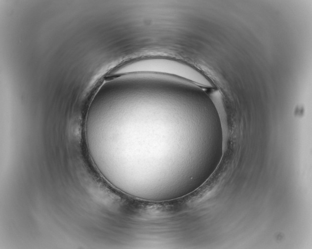 X0000093590064200710291131