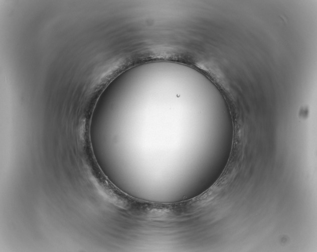 X0000093590066200710291131