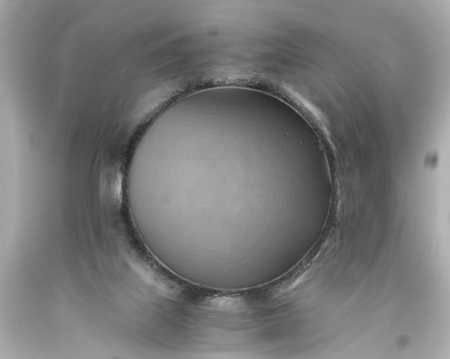 X0000093590067200710291131