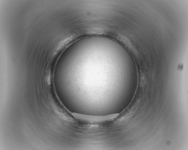 X0000093590068200710291131