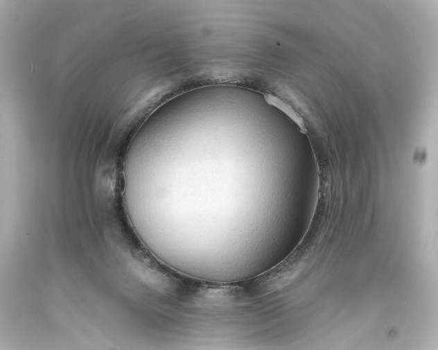 X0000093590072200710291131