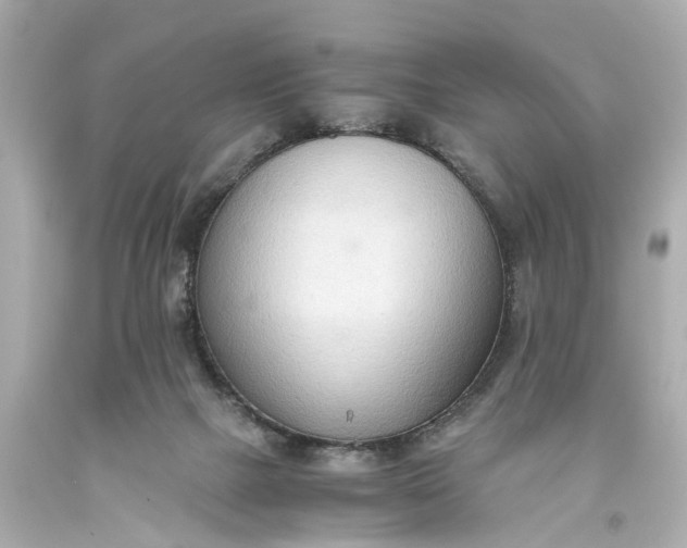 X0000093590073200710291131