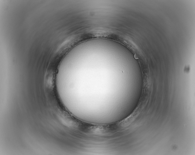 X0000093590074200710291131