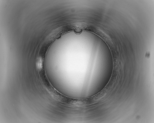 X0000093590075200710291131