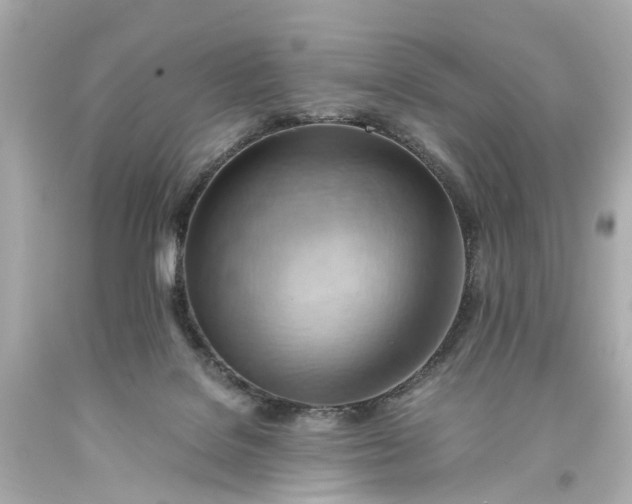 X0000093590076200710291131