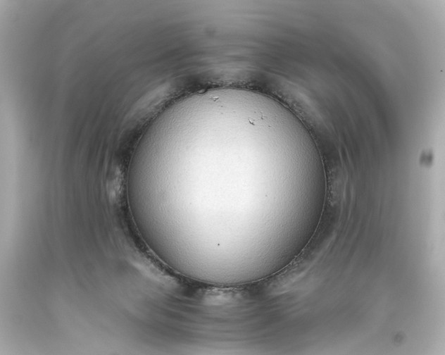 X0000093590077200710291131