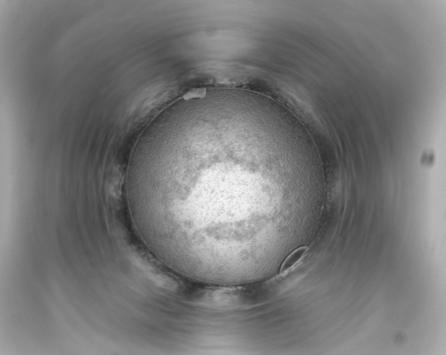 X0000093590078200710291131