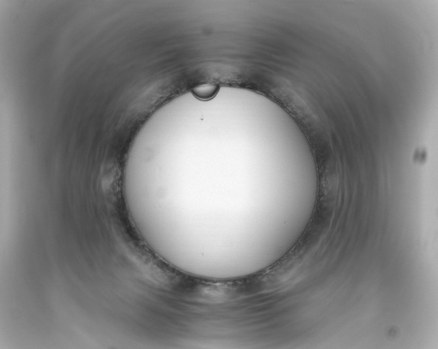 X0000093590079200710291131