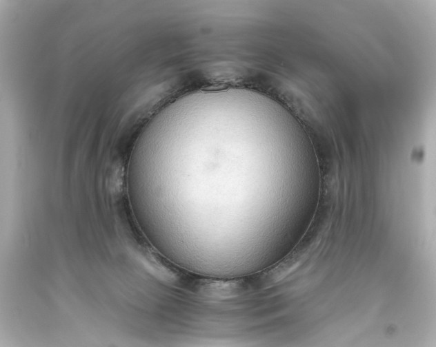 X0000093590081200710291131