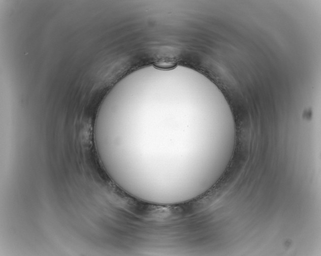 X0000093590083200710291131