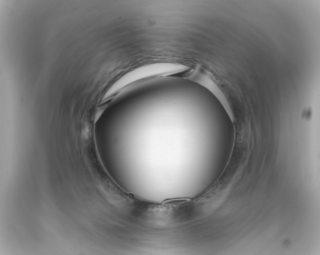 X0000093590084200710291131