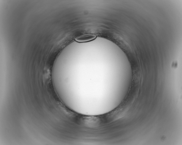X0000093590087200710291131