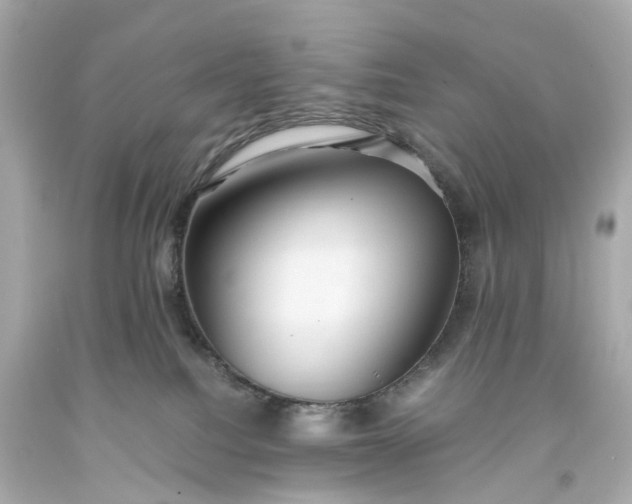 X0000093590088200710291131