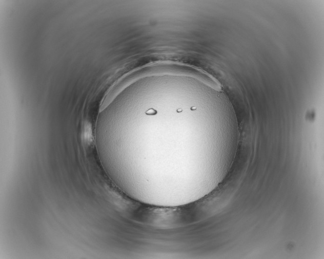 X0000093590089200710291131