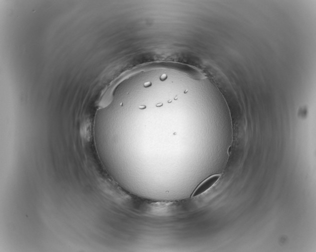 X0000093590090200710291131